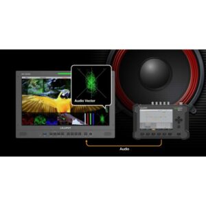 31.5" LILLIPUT Q31 4K 12G-SDI production/broadcast monitor