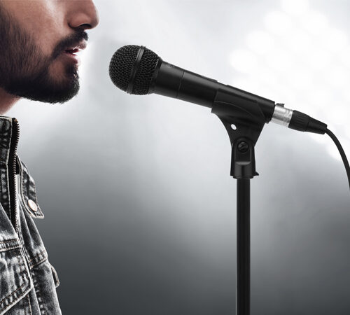 BOYA BY-BM58 cardioid dynamic vocal microphone