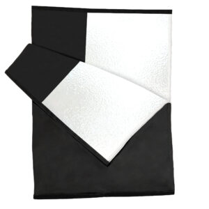 APUTURE Lantern