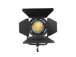 FARSEEING FS-LED100/200W LED spot light