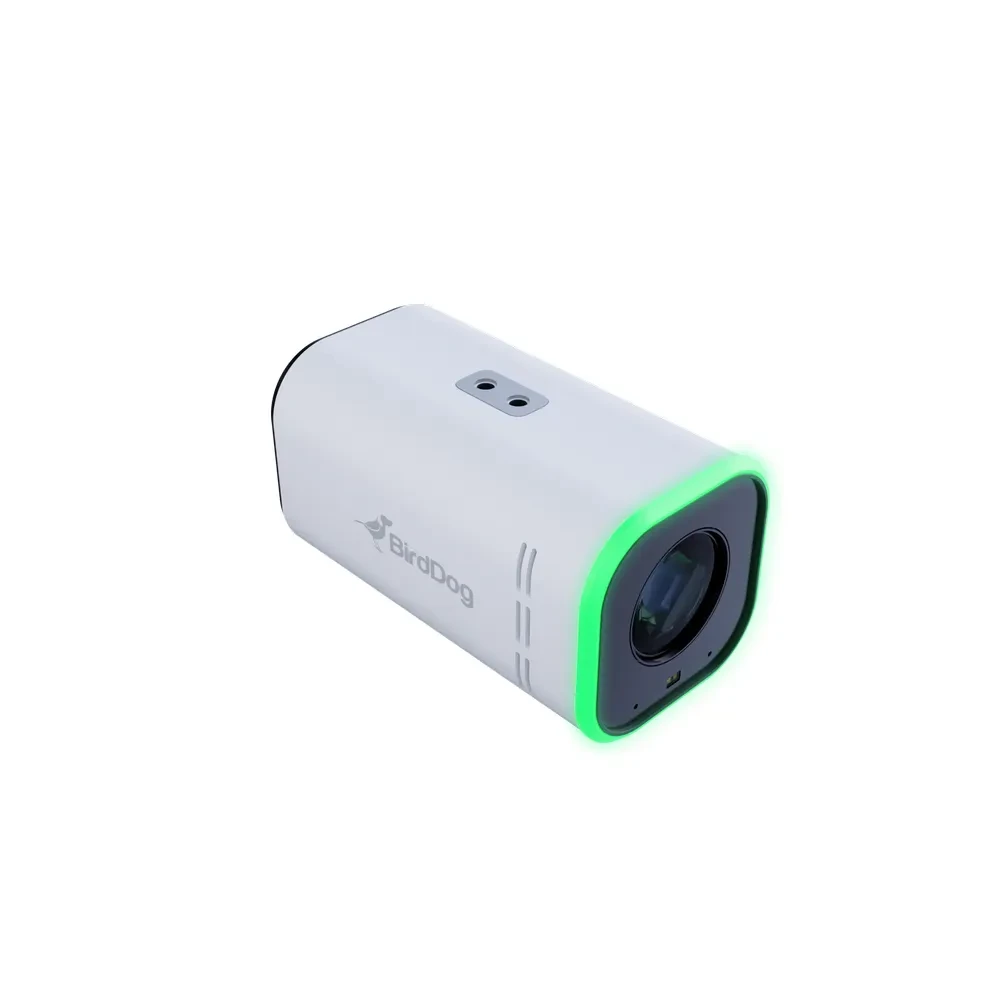 BIRDDOG MAKI Ultra - NDI HX3 4K Box Camera