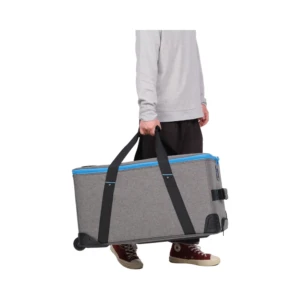 NANLITE FC-300B 2-Light Trolley Case Kit