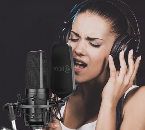 BOYA BY-M1000 large diaphragm condenser microphone