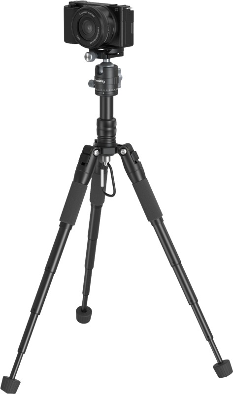 mirrorless cameras