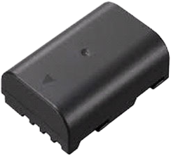 PANASONIC Battery DMW-BLF19E