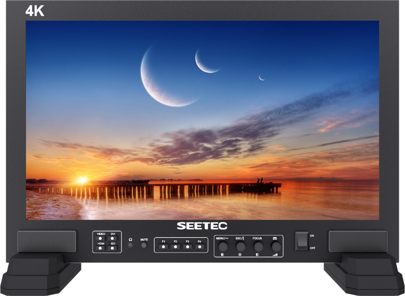 17.3" SEETEC FS173-S4K Monitor