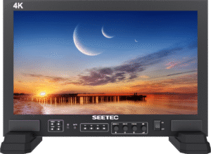 17.3" SEETEC FS173-S4K Monitor