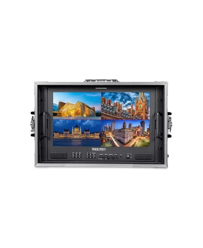17.3" SEETEC FS173-S4K-CO Monitor