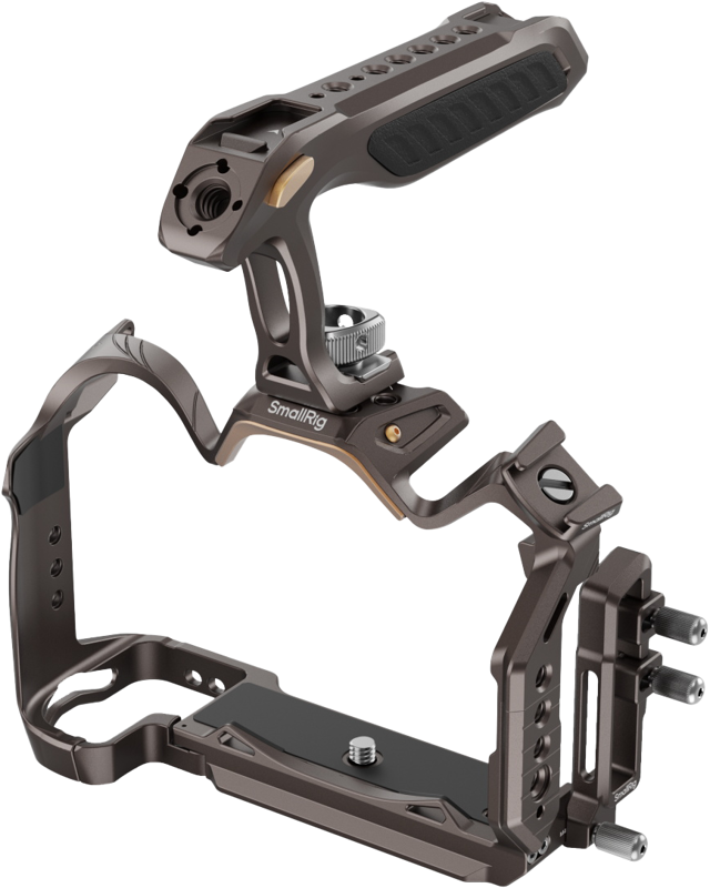 adorned with gold accents