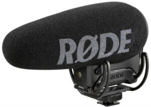 <li>High-quality shotgun microphone</li>