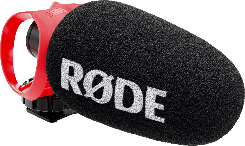 <li>Professional shotgun microphone</li>