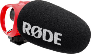 <li>Professional shotgun microphone</li>
