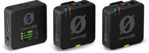 <li>Wireless microphone system</li>