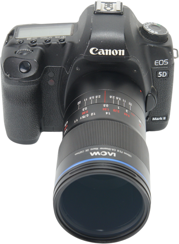 LAOWA 100mm f/2.8 2x Ultra Macro APO Lens - Canon EF (Auto Aperture)