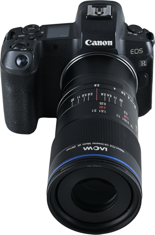 LAOWA 100mm f/2.8 2x Ultra Macro APO Lens - Canon RF