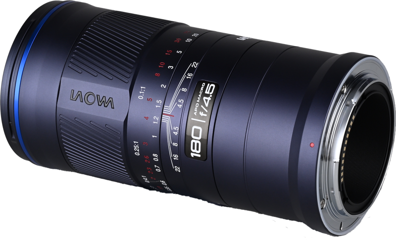 while the lens’ light weight makes it easy to carry all day.