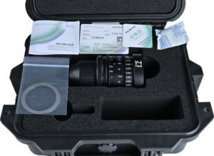 intricate architectural details