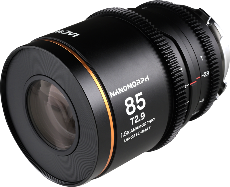 this lens excels in close-up shots