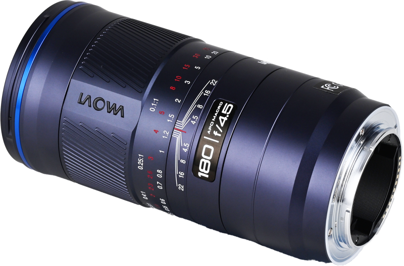 while the lens’ light weight makes it easy to carry all day.