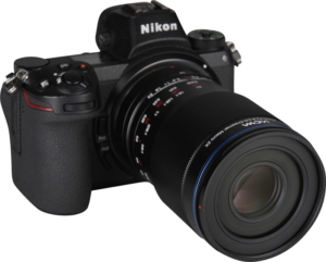 this lens excels at detailed macro photography