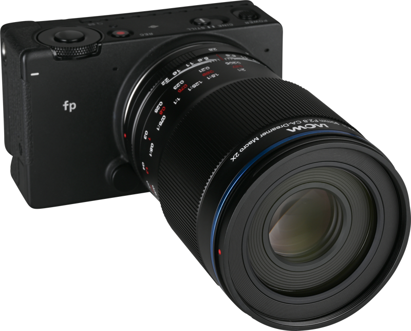 this lens excels at detailed macro photography