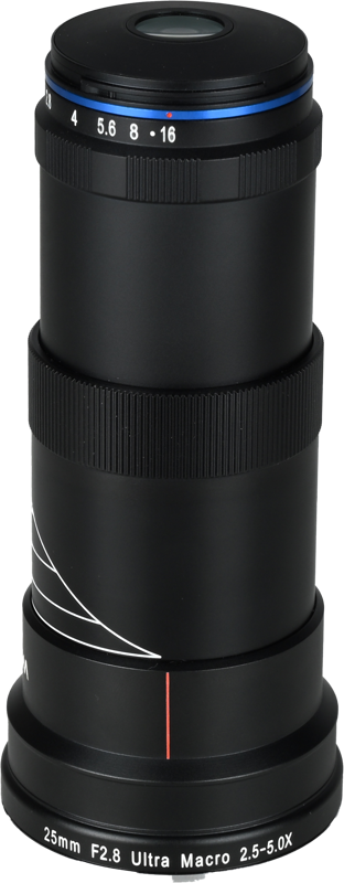 revealing details invisible to the naked eye. Ideal for photographing tiny subjects such as insects