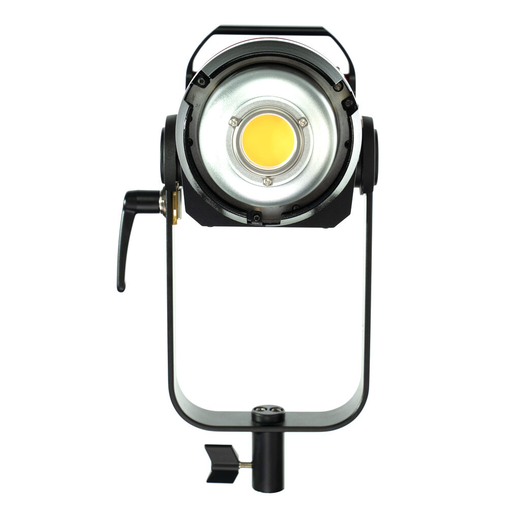 APUTURE Light Storm C300d MKII kit (V-mount)