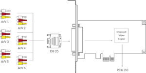 MAGEWELL Pro Capture Hexa CVBS - 11250