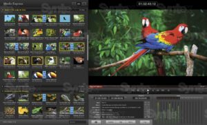 BLACKMAGIC DESIGN DeckLink SDI 4K