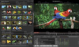 BLACKMAGIC DESIGN DeckLink Studio 4K