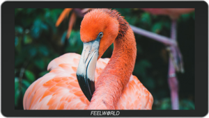 6" FEELWORLD Monitor P6XL