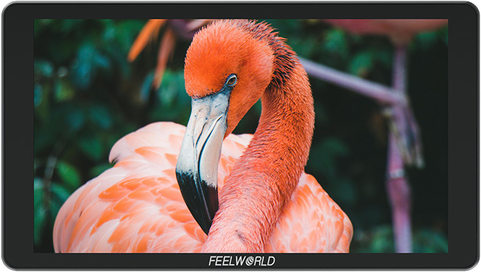 6" FEELWORLD Monitor P6XL