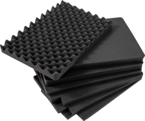 BW Outdoor Cases Type 6700 / Black (pre-cut foam)