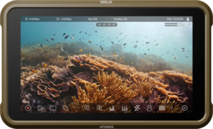 ATOMOS Ninja, 5-inch, 1000nit HDR monitor-recorder for DSLR and mirrorless cameras