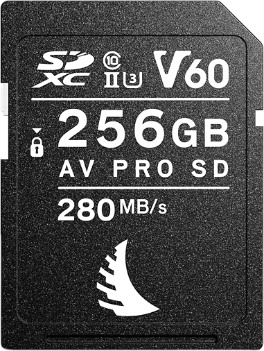 ANGELBIRD SD AV PRO MK2 R280/W160 (V60) 256GB | 1 PACK