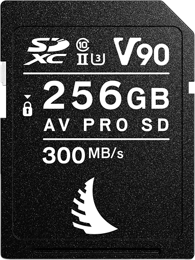 ANGELBIRD SD AV PRO MK2 R300/W280 (V90) 256GB