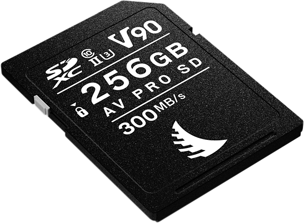ANGELBIRD SD AV PRO MK2 R300/W280 (V90) 256GB