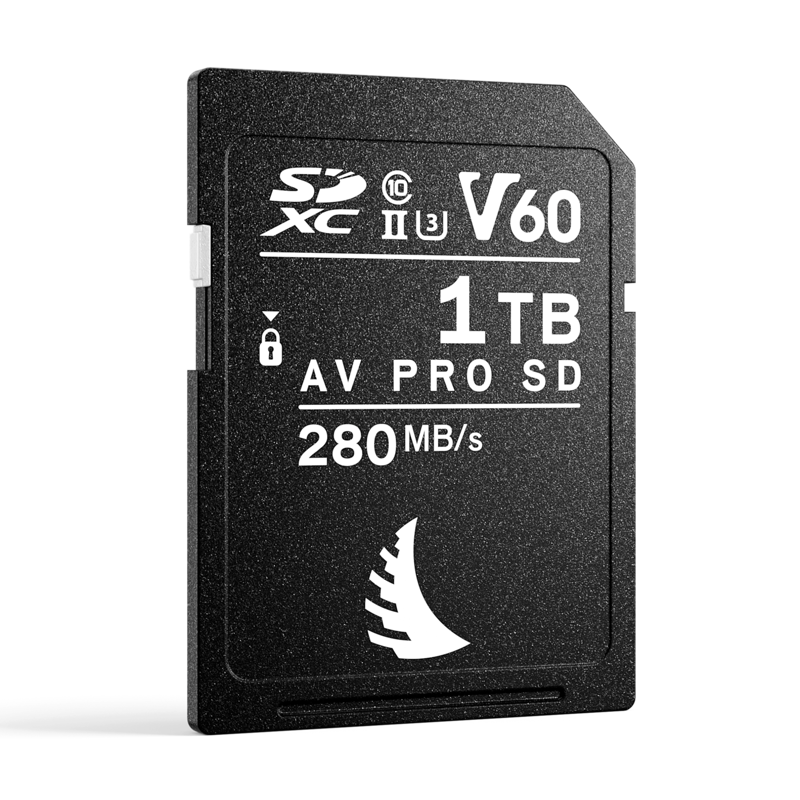 ANGELBIRD SD AV PRO MK2 R280/W160 (V60) 1TB | 1 PACK
