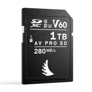 ANGELBIRD SD AV PRO MK2 R280/W160 (V60) 1TB