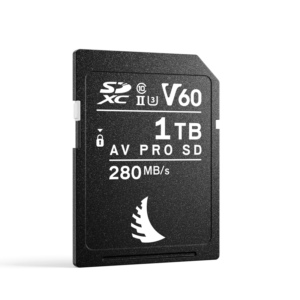 ANGELBIRD SD AV PRO MK2 R280/W160 (V60) 1TB | 1 PACK