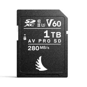 ANGELBIRD SD AV PRO MK2 R280/W160 (V60) 1TB