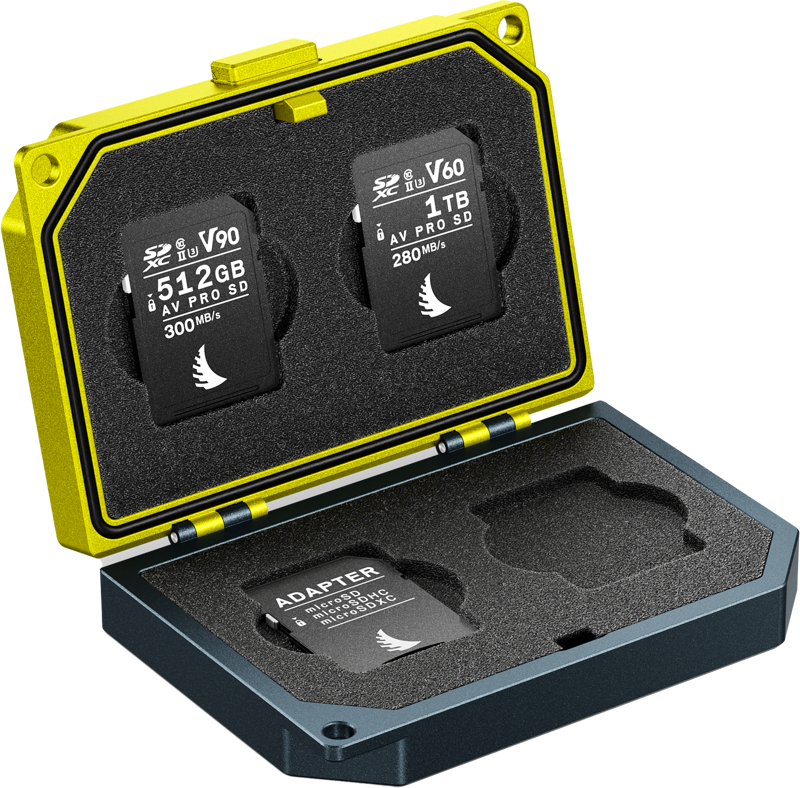 ANGELBIRD MEDIA TANK SD cards