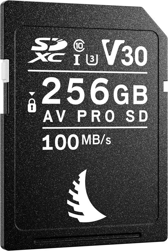 ANGELBIRD SD AV PRO SDXC, SD 6.1, UHS-I, R100/W92 (V30) 256GB