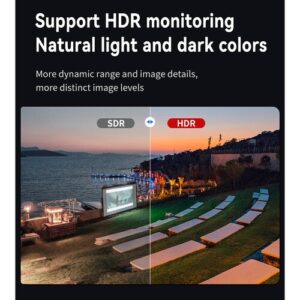 Desview D17-HDR
