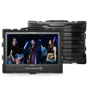 Desview D21