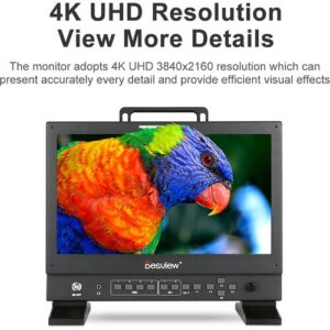 Desview S14-HDR