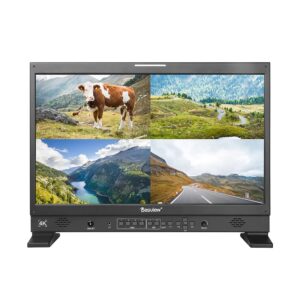 Desview S21 21.5" Broadcast Monitor
