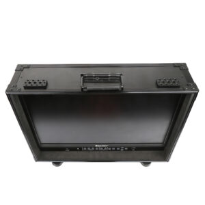 Desview S21 21.5" Broadcast Monitor