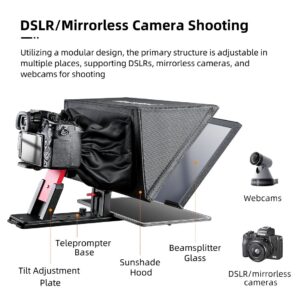 Desview T12S