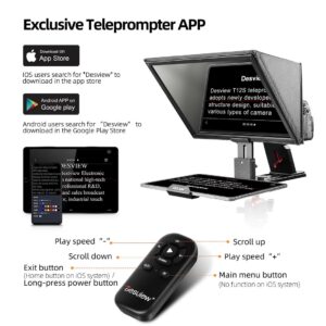 Desview T12S